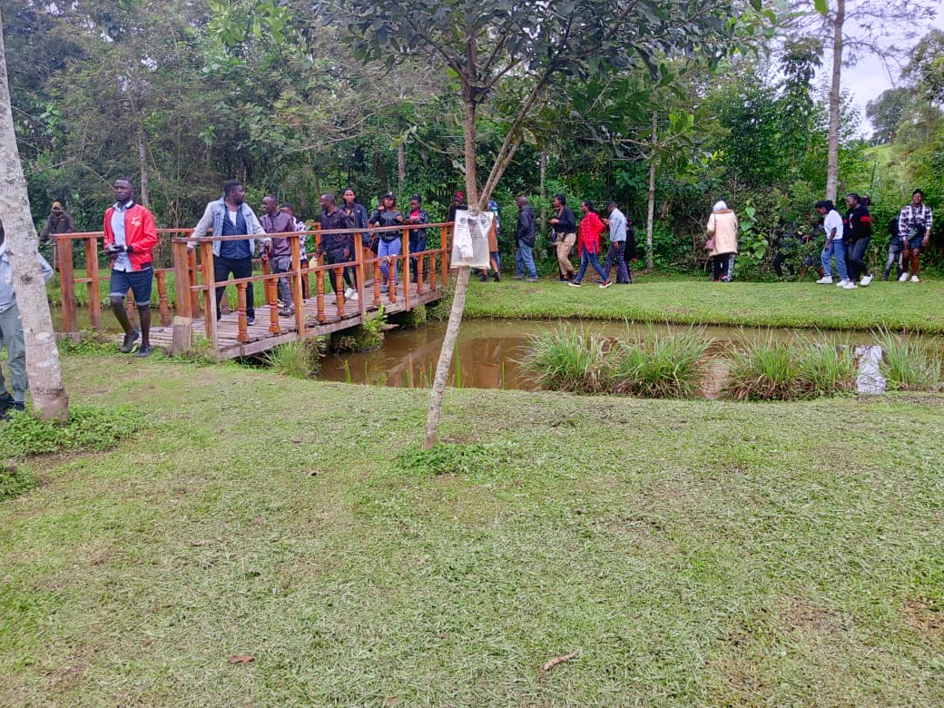 Guided walk across the footbridge at the Centre